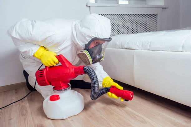 Best Residential Pest Control  in Berthoud, CO